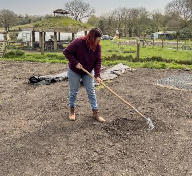 Gardener raking soil